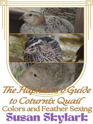 cover image of The Haphazard Guide to Coturnix Quail Colors and Feather Sexing